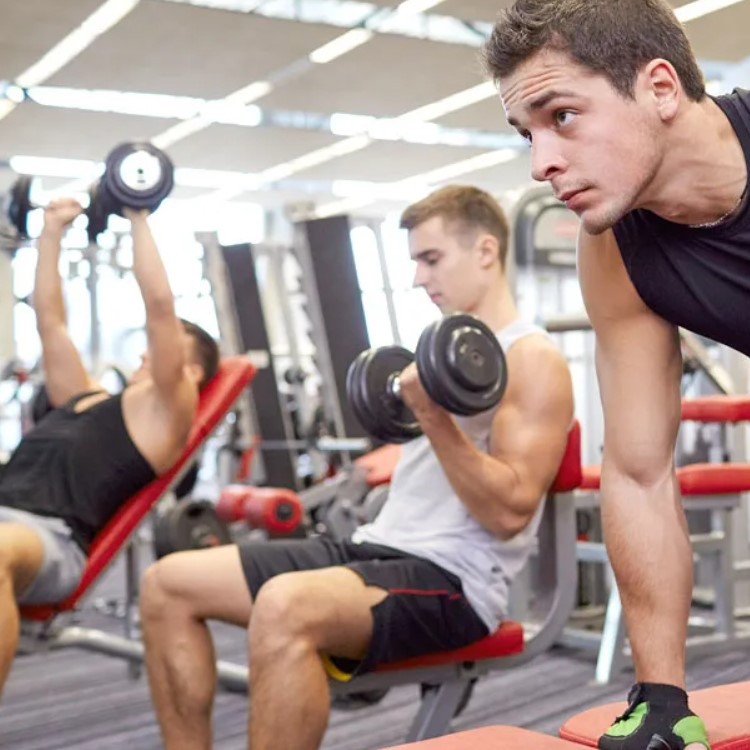 muscle building ems workout muscle building ems workout